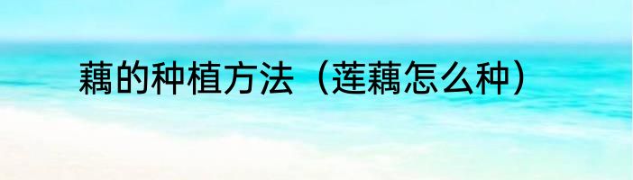 藕的种植方法（莲藕怎么种）