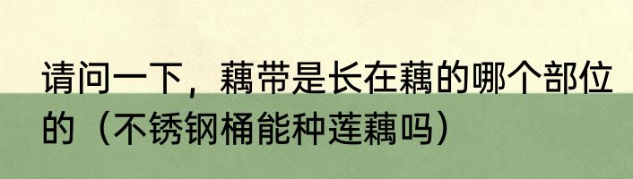 床就是人类的无线充电器什么意思  床就是人类的无线充电器什么梗