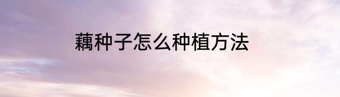 藕种子怎么种植方法