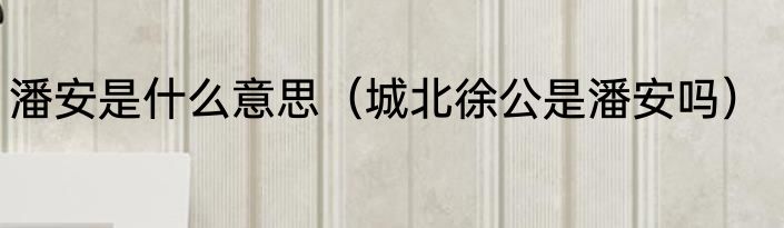 潘安是什么意思（城北徐公是潘安吗）