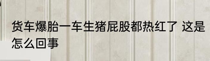 货车爆胎一车生猪屁股都热红了 这是怎么回事