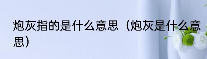 炮灰指的是什么意思（炮灰是什么意思）
