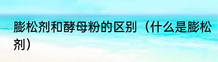 膨松剂和酵母粉的区别（什么是膨松剂）