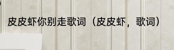 皮皮虾你别走歌词（皮皮虾，歌词）