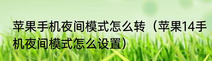 苹果手机夜间模式怎么转（苹果14手机夜间模式怎么设置）