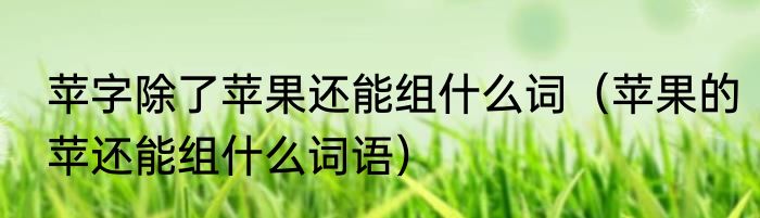 苹字除了苹果还能组什么词（苹果的苹还能组什么词语）