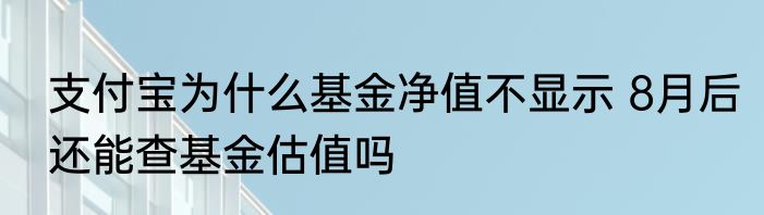支付宝为什么基金净值不显示 8月后还能查基金估值吗