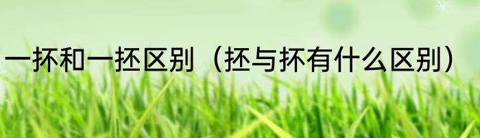 一抔和一抷区别（抷与抔有什么区别）
