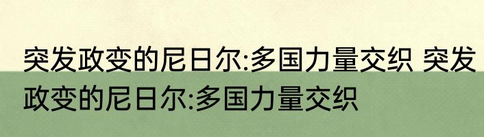 突发政变的尼日尔:多国力量交织 突发政变的尼日尔:多国力量交织