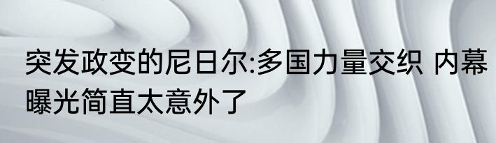 突发政变的尼日尔:多国力量交织 内幕曝光简直太意外了