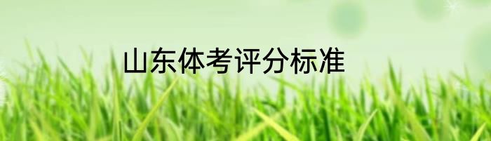 山东体考评分标准