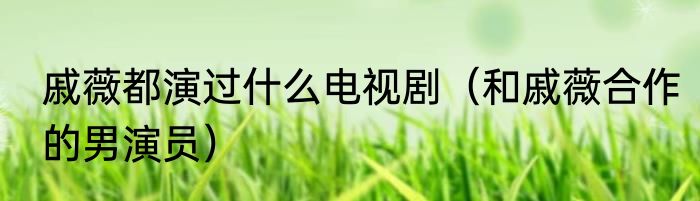 戚薇都演过什么电视剧（和戚薇合作的男演员）