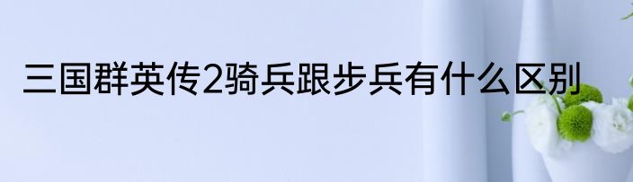 三国群英传2骑兵跟步兵有什么区别
