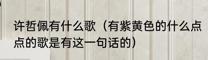 许哲佩有什么歌（有紫黄色的什么点点的歌是有这一句话的）