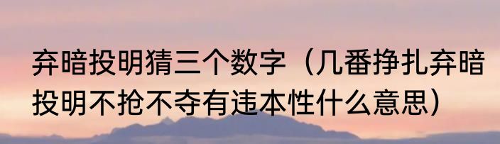 弃暗投明猜三个数字（几番挣扎弃暗投明不抢不夺有违本性什么意思）