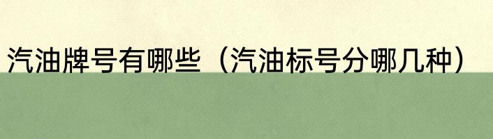 汽油牌号有哪些（汽油标号分哪几种）