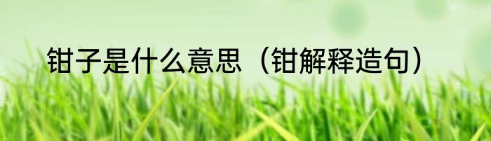 钳子是什么意思（钳解释造句）