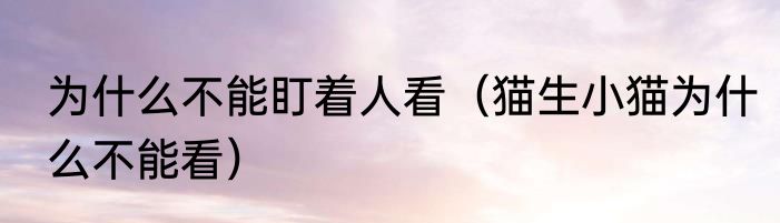 为什么不能盯着人看（猫生小猫为什么不能看）