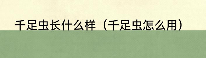 千足虫长什么样（千足虫怎么用）