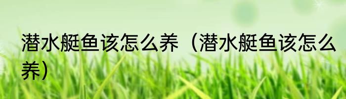 潜水艇鱼该怎么养（潜水艇鱼该怎么养）