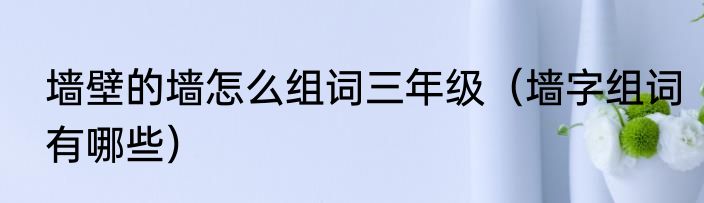 墙壁的墙怎么组词三年级（墙字组词有哪些）