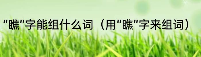“瞧”字能组什么词（用“瞧”字来组词）