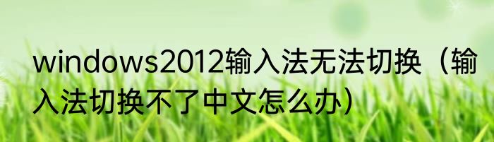 windows2012输入法无法切换（输入法切换不了中文怎么办）