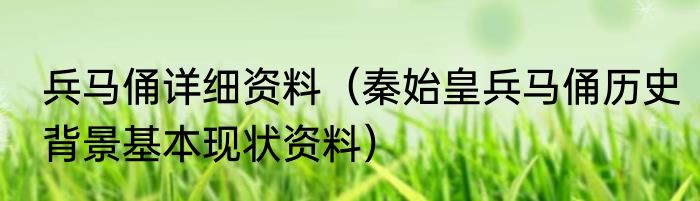兵马俑详细资料（秦始皇兵马俑历史背景基本现状资料）