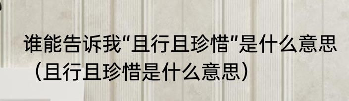 谁能告诉我“且行且珍惜”是什么意思（且行且珍惜是什么意思）