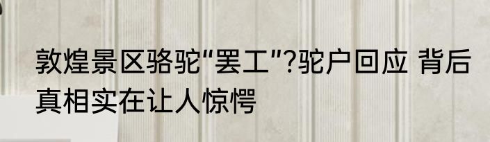敦煌景区骆驼“罢工”?驼户回应 背后真相实在让人惊愕