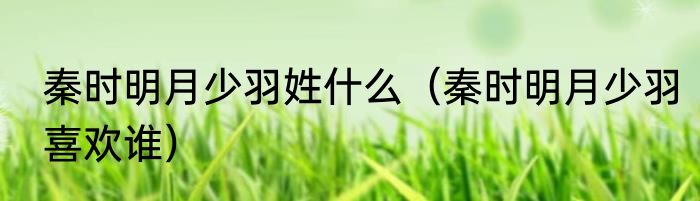 秦时明月少羽姓什么（秦时明月少羽喜欢谁）