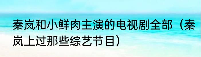 秦岚和小鲜肉主演的电视剧全部（秦岚上过那些综艺节目）