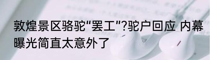 敦煌景区骆驼“罢工”?驼户回应 内幕曝光简直太意外了