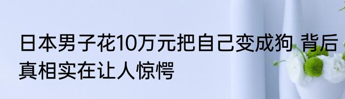 日本男子花10万元把自己变成狗 背后真相实在让人惊愕