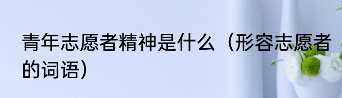 青年志愿者精神是什么（形容志愿者的词语）