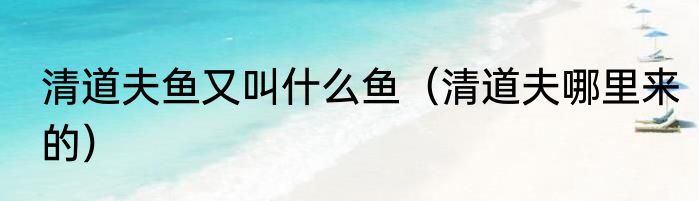 清道夫鱼又叫什么鱼（清道夫哪里来的）