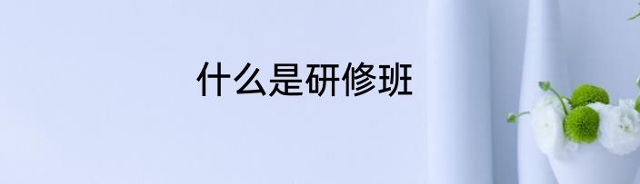 什么是研修班