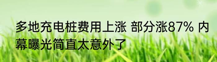 多地充电桩费用上涨 部分涨87% 内幕曝光简直太意外了