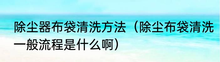 除尘器布袋清洗方法（除尘布袋清洗一般流程是什么啊）