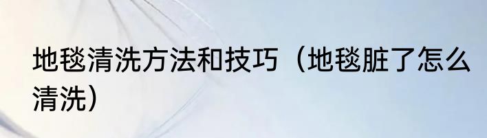 地毯清洗方法和技巧（地毯脏了怎么清洗）
