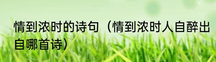 情到浓时的诗句（情到浓时人自醉出自哪首诗）