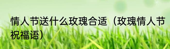 情人节送什么玫瑰合适（玫瑰情人节祝福语）