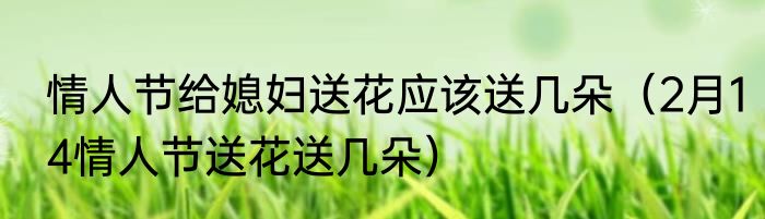 情人节给媳妇送花应该送几朵（2月14情人节送花送几朵）