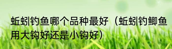 蚯蚓钓鱼哪个品种最好（蚯蚓钓鲫鱼用大钩好还是小钩好）