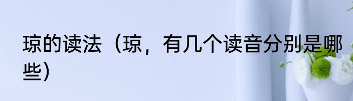 琼的读法（琼，有几个读音分别是哪些）