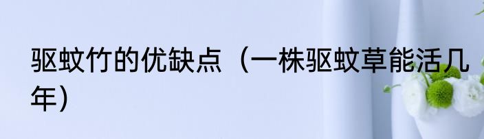 驱蚊竹的优缺点（一株驱蚊草能活几年）