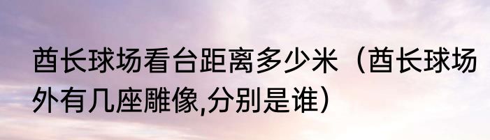 酋长球场看台距离多少米（酋长球场外有几座雕像,分别是谁）