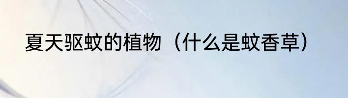 夏天驱蚊的植物（什么是蚊香草）