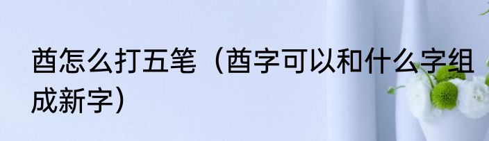 酋怎么打五笔（酋字可以和什么字组成新字）