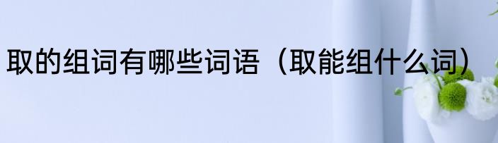 取的组词有哪些词语（取能组什么词）